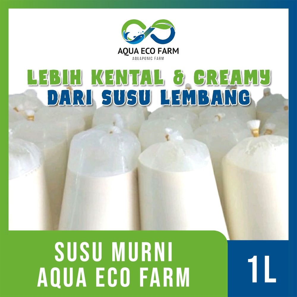 

[AquaEcoFarm] Susu Murni Pangalengan 1 Liter – 100% Fresh, Creamy, dan Kental | Bandung