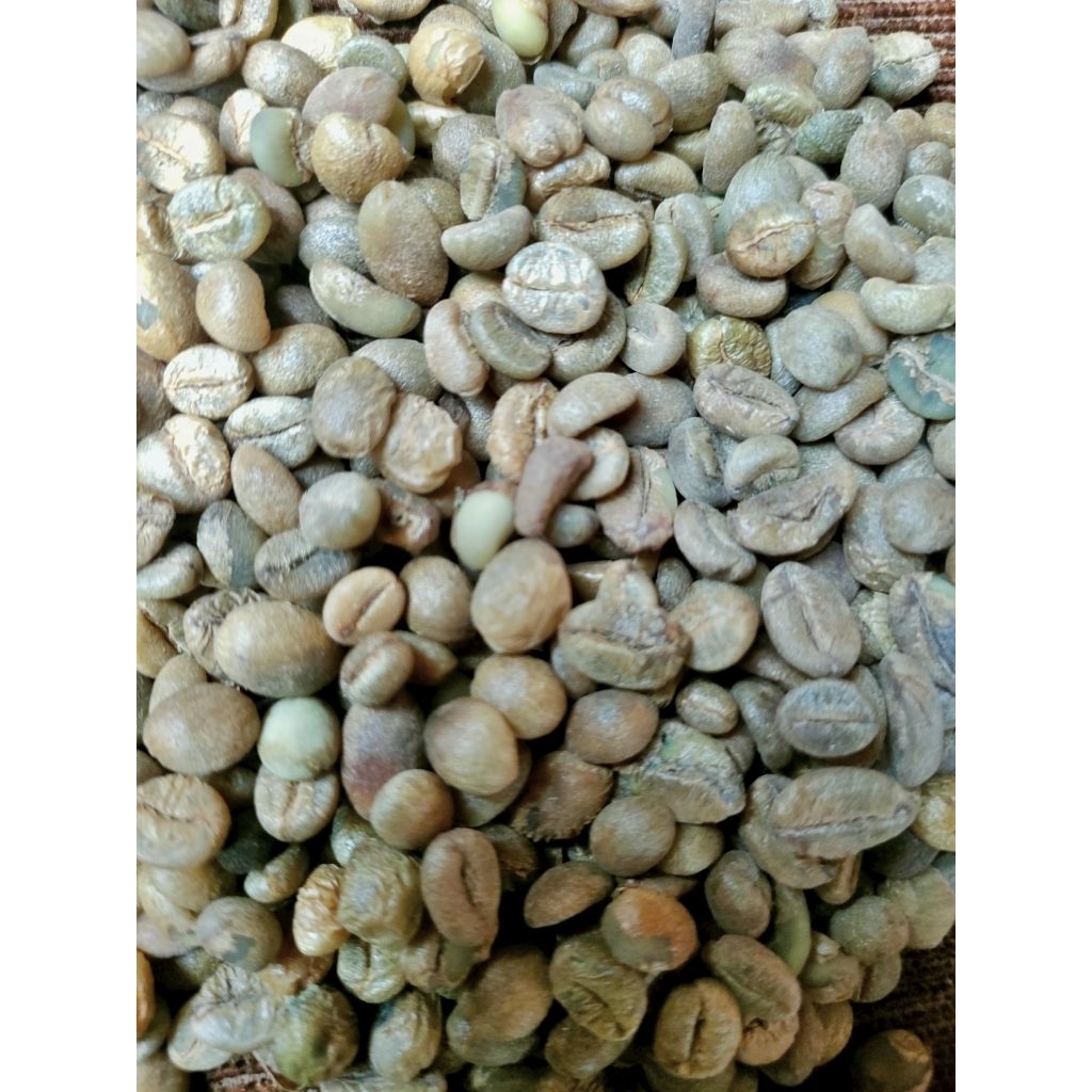 

Greenbean Robusta Jawa 1KG