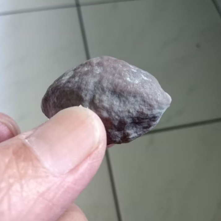 Kemiri Adu Muncang Adu Jayanti Si Pait Junior Full Tua