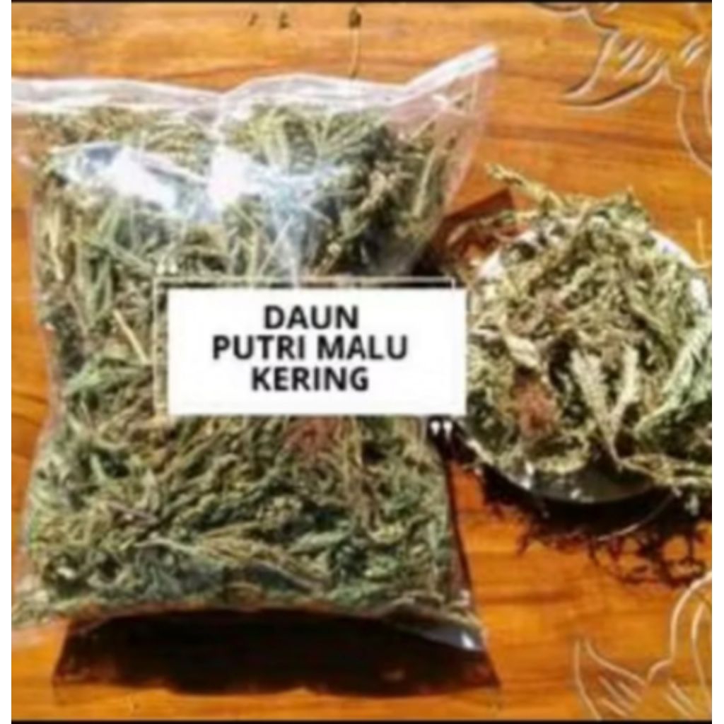 

Daun putri malu Kering 100 gram