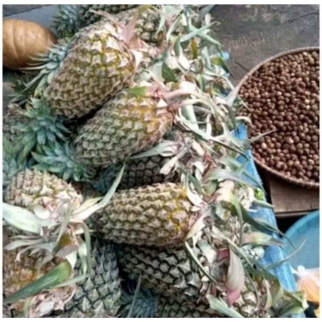 

Buah Nanas per pcs/satuan