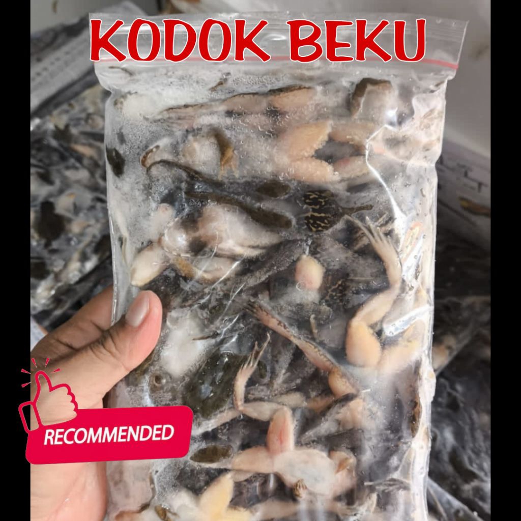 KODOK BEKU / KATAK BEKU / KODOK SAWAH BEKU BERSIH MURAH