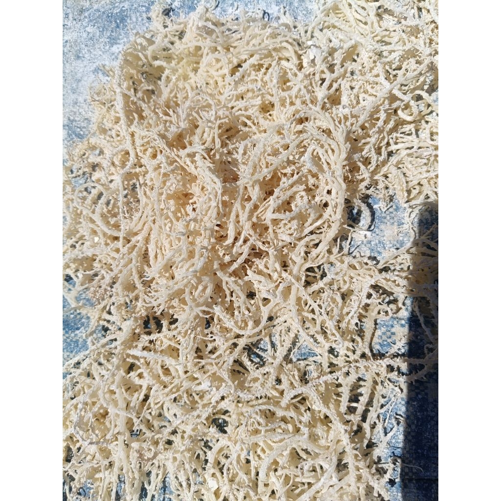 

Rumput Laut Putih Setengah Kering Kemasan 1000 gram