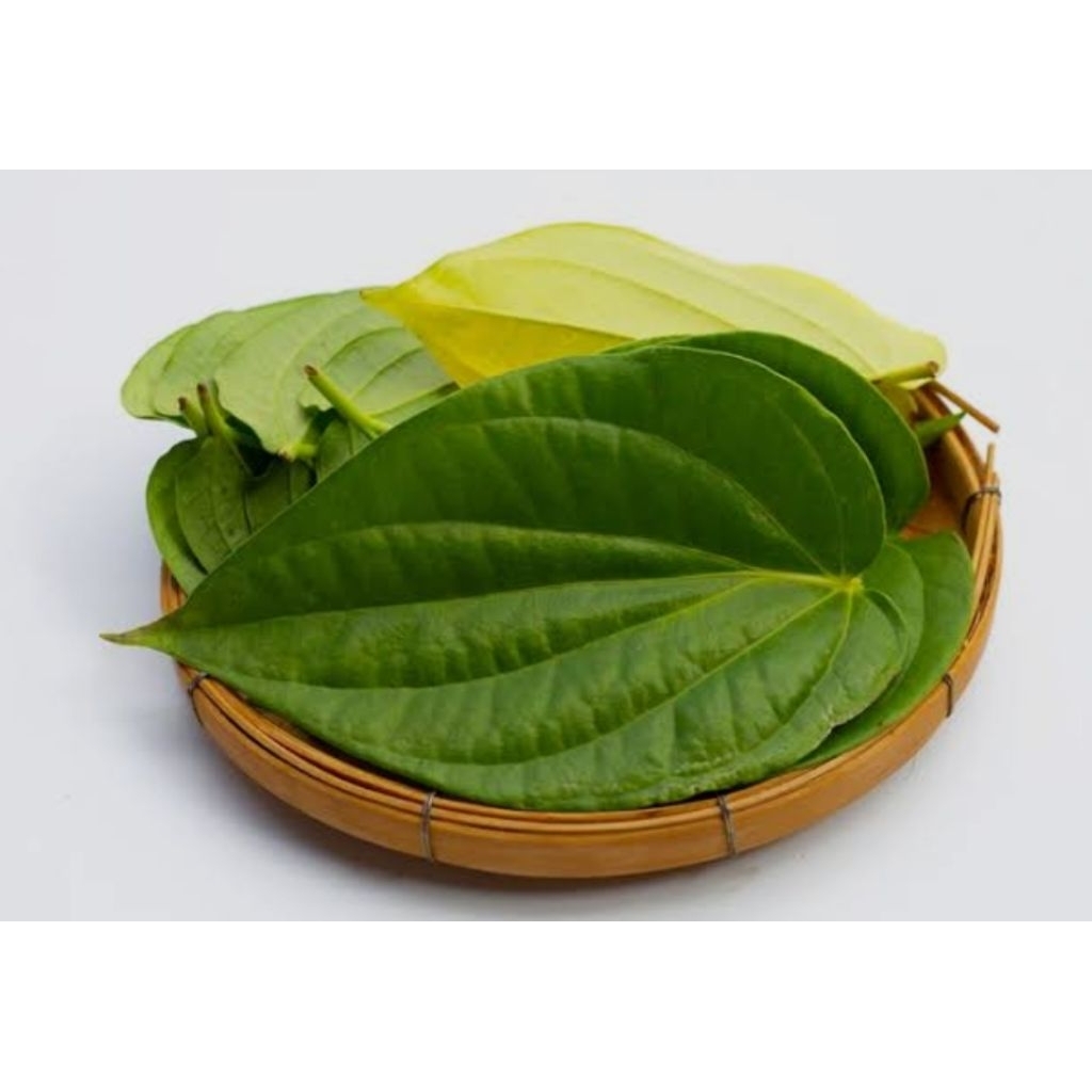 

DAUN SIRIH 50 lembar