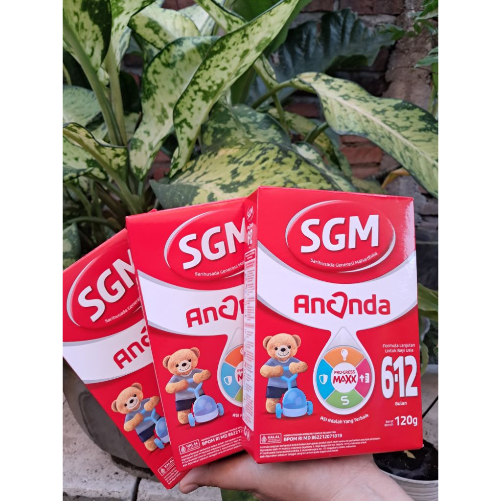 SGM ANANDA 6-12
