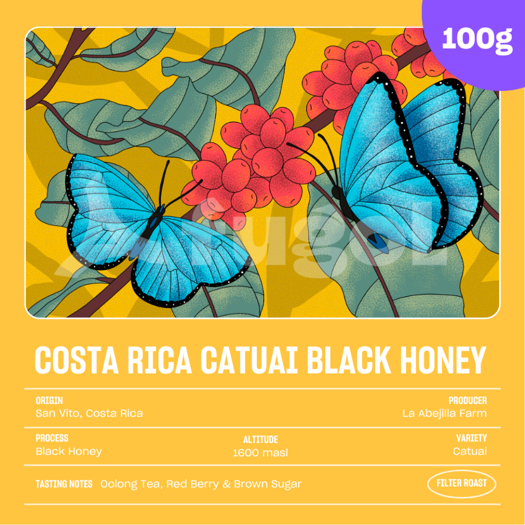 

Biji Kopi Arabika COSTA RICA CATUAI LA ABEJILLA BLACK HONEY (100 gram) Single Origin Specialty Coffee Beans