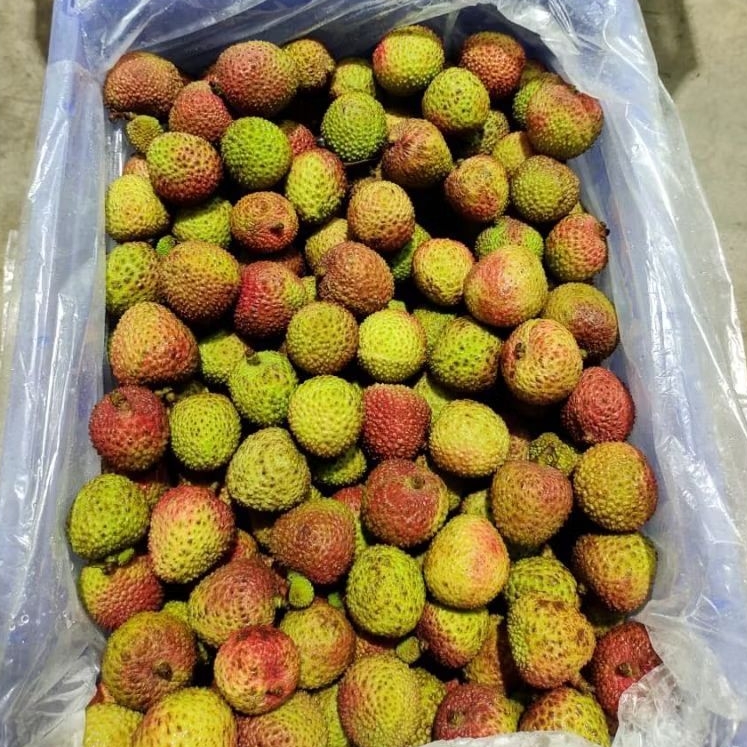 

lychee madu super sweet/500g