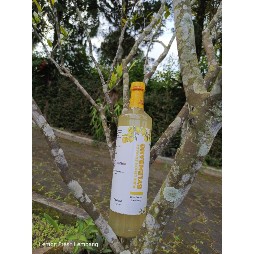 

SYLEMBANG- Sirup Lemon 650ml BPOM HALAL