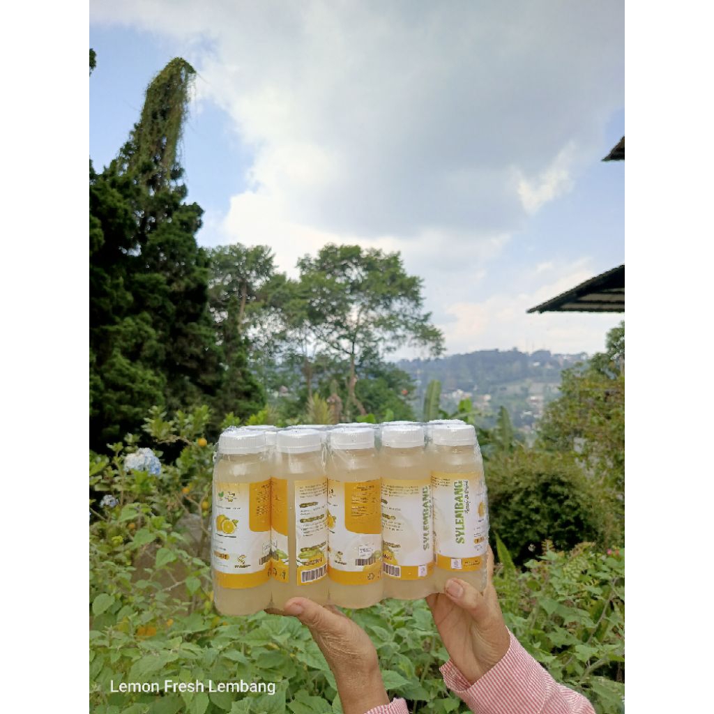 

SYLEMBANG- Ready to drink Lemon (250ml) isi 10 botol BPOM HALAL