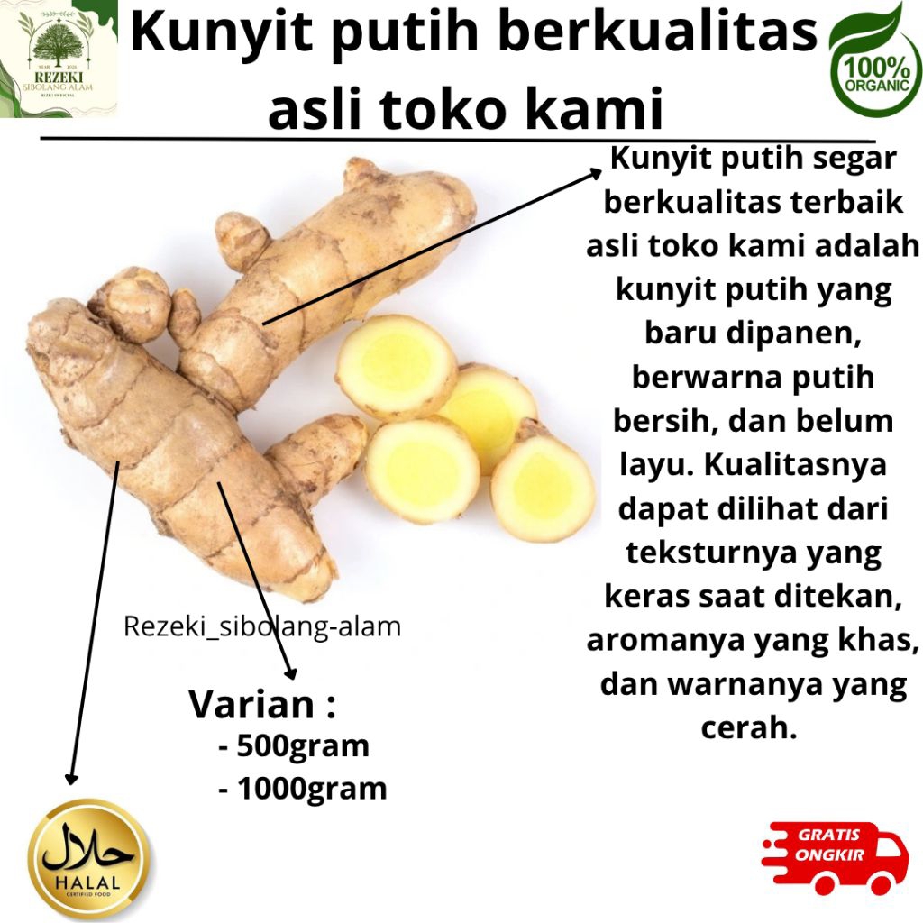 

Kunyit putih segar 1 kg fresh segar / bersih / Temu putih di ambil langsung dari kebun