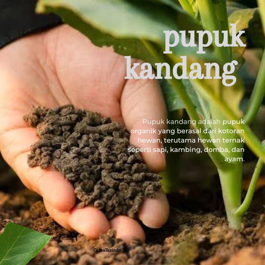 25KG PUPUK ORGANIK KOHE KAMBING