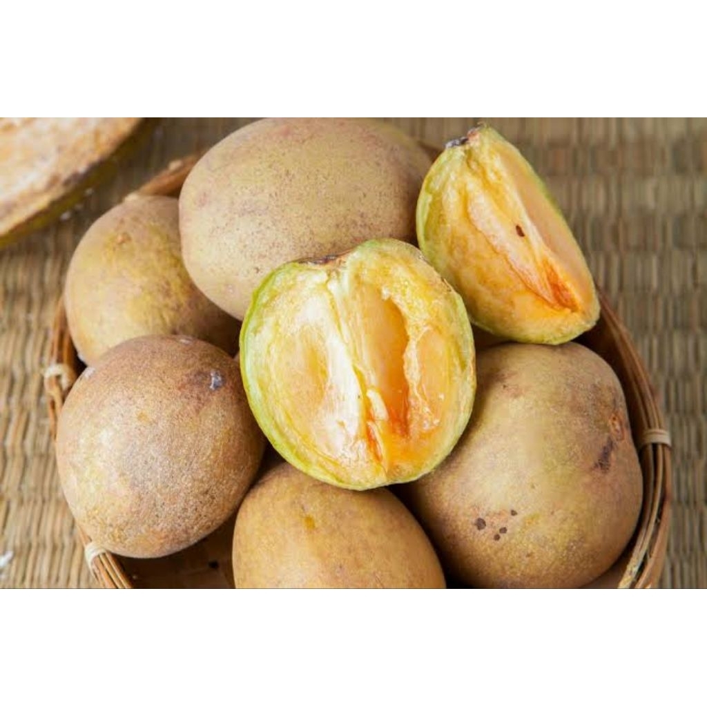 

sawo madu manis segar matang 1 kg murah