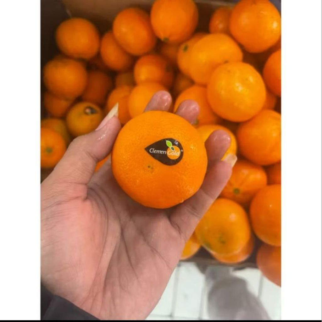 

Jeruk Clement Gold / jeruk Import China 1kg