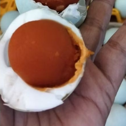 

TELUR ASIN OMEGA MASIR GURIH isi 10Butir