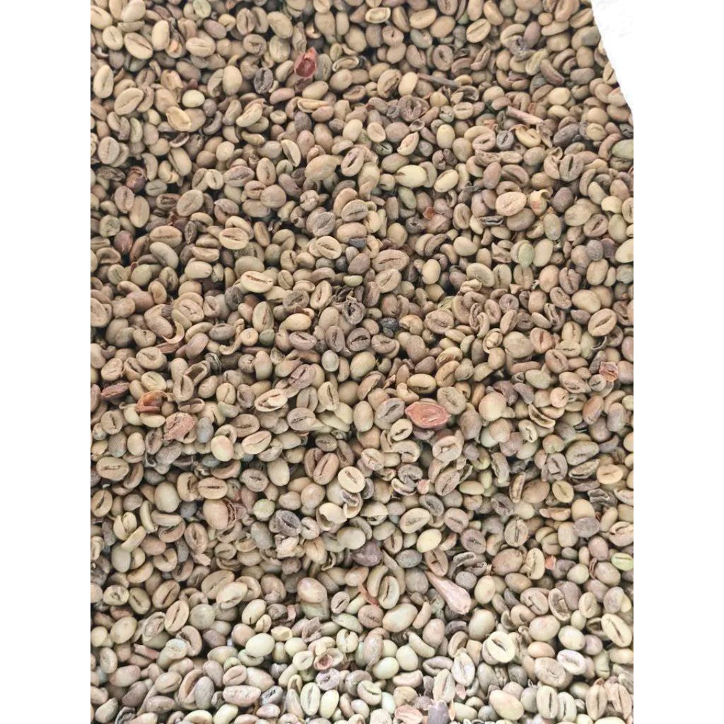 

biji kopi mentah 1kg