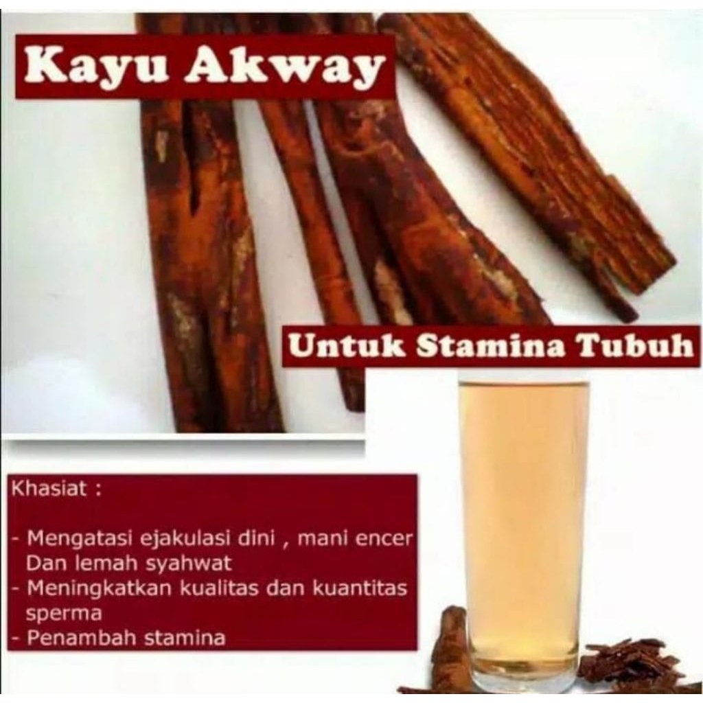 KAYU AKWAY KHAS PAPUA PENUNJANG STAMINA