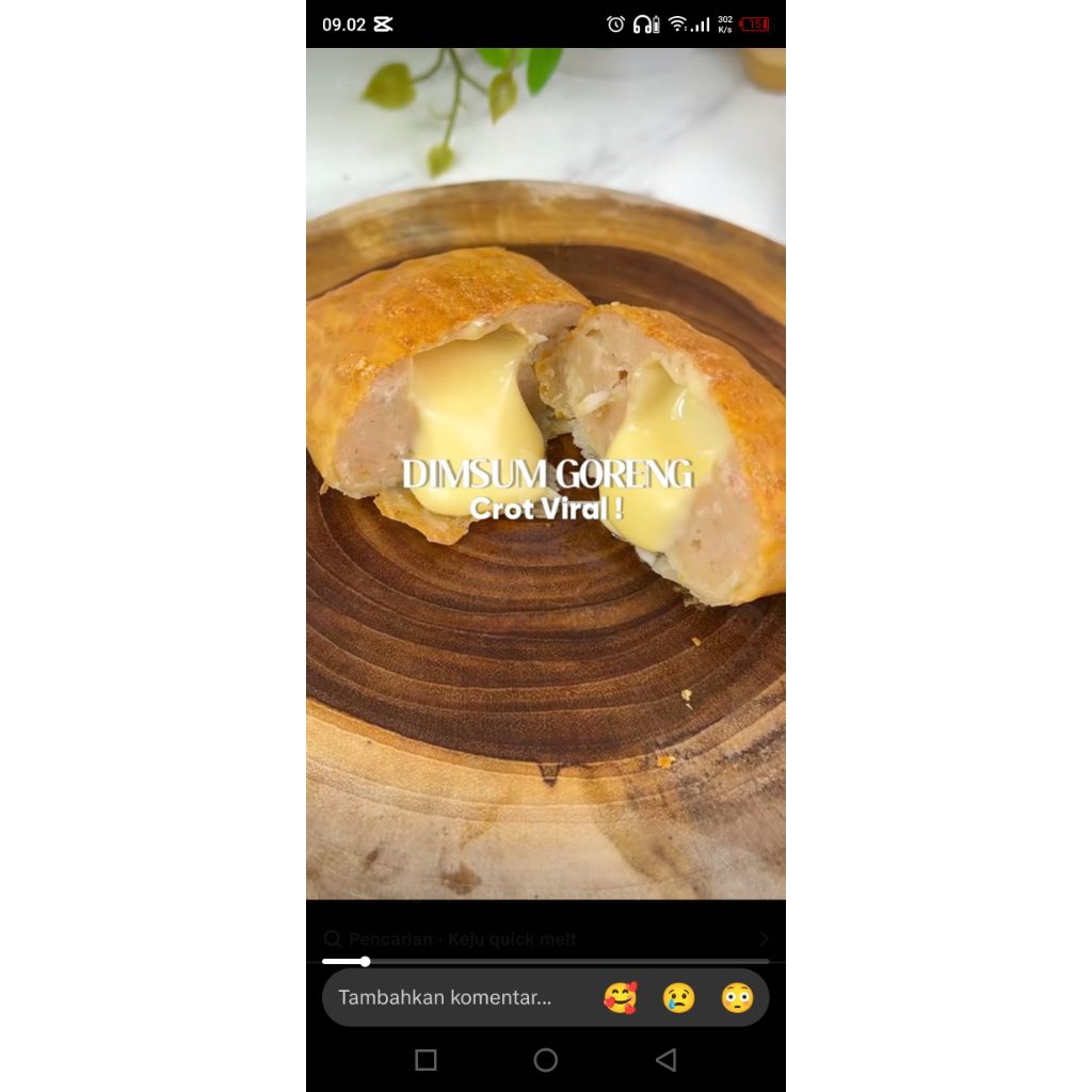 

DIMSUM GORENG KEJU MONCROT