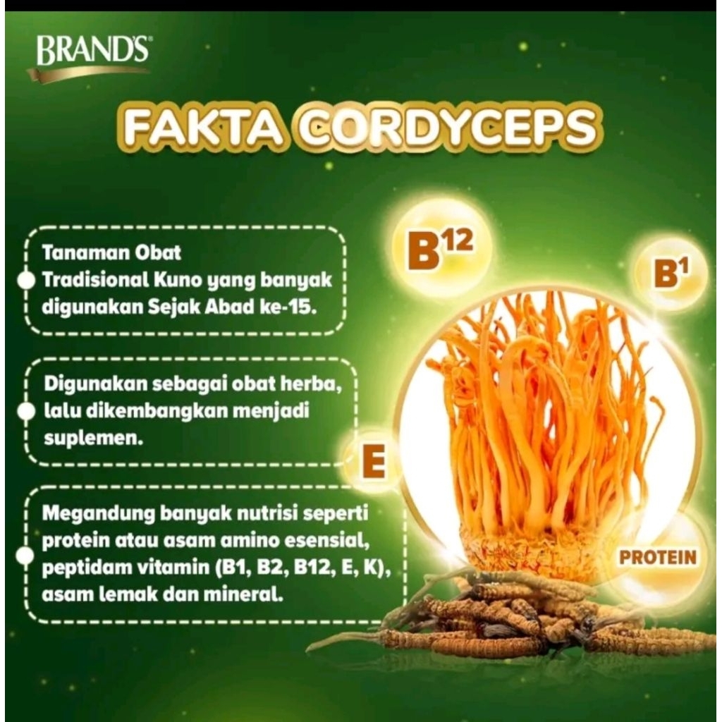 brands saripati ayam