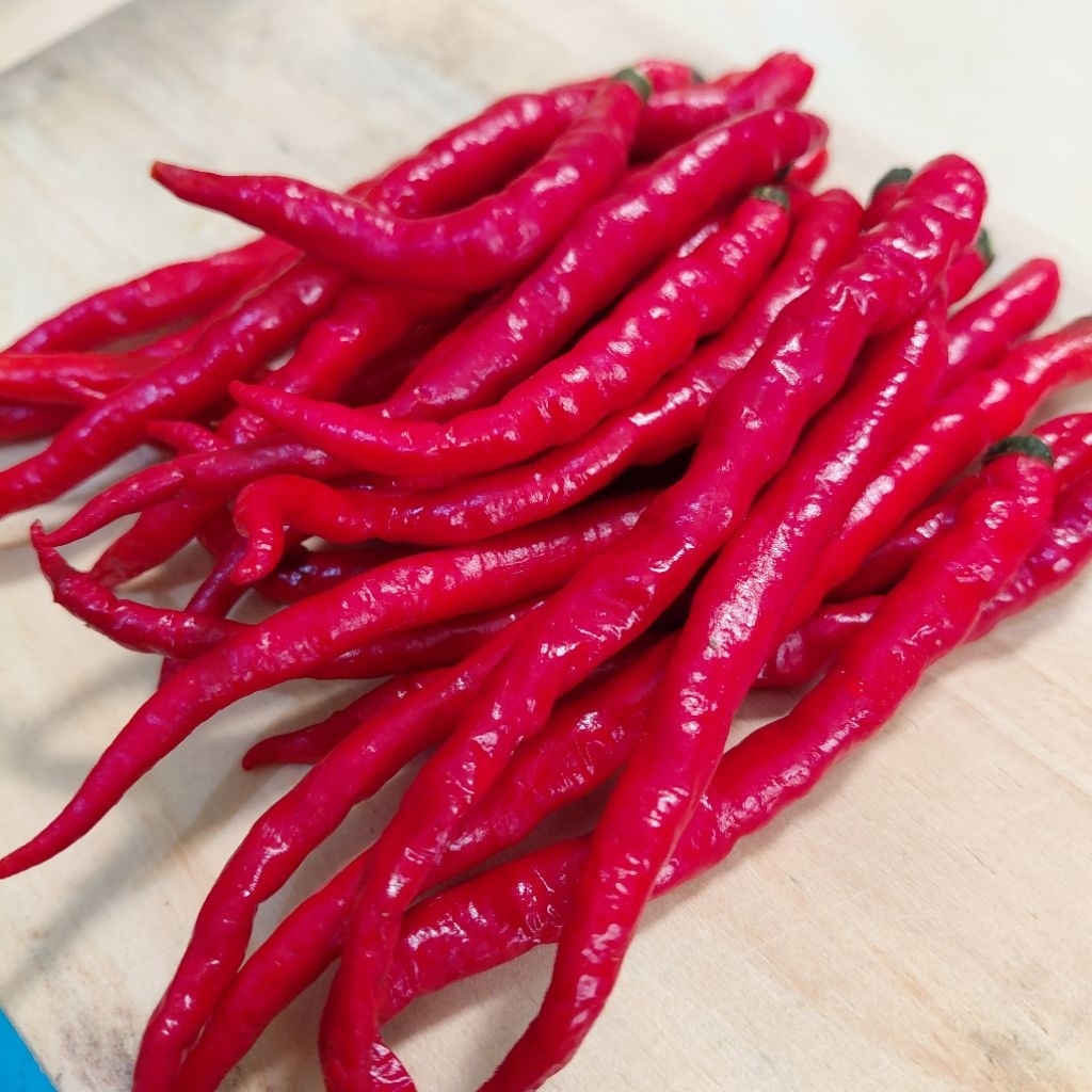 

Cabe Merah Keriting Bersih Tanpa Tangkai Fresh Berat 100gram