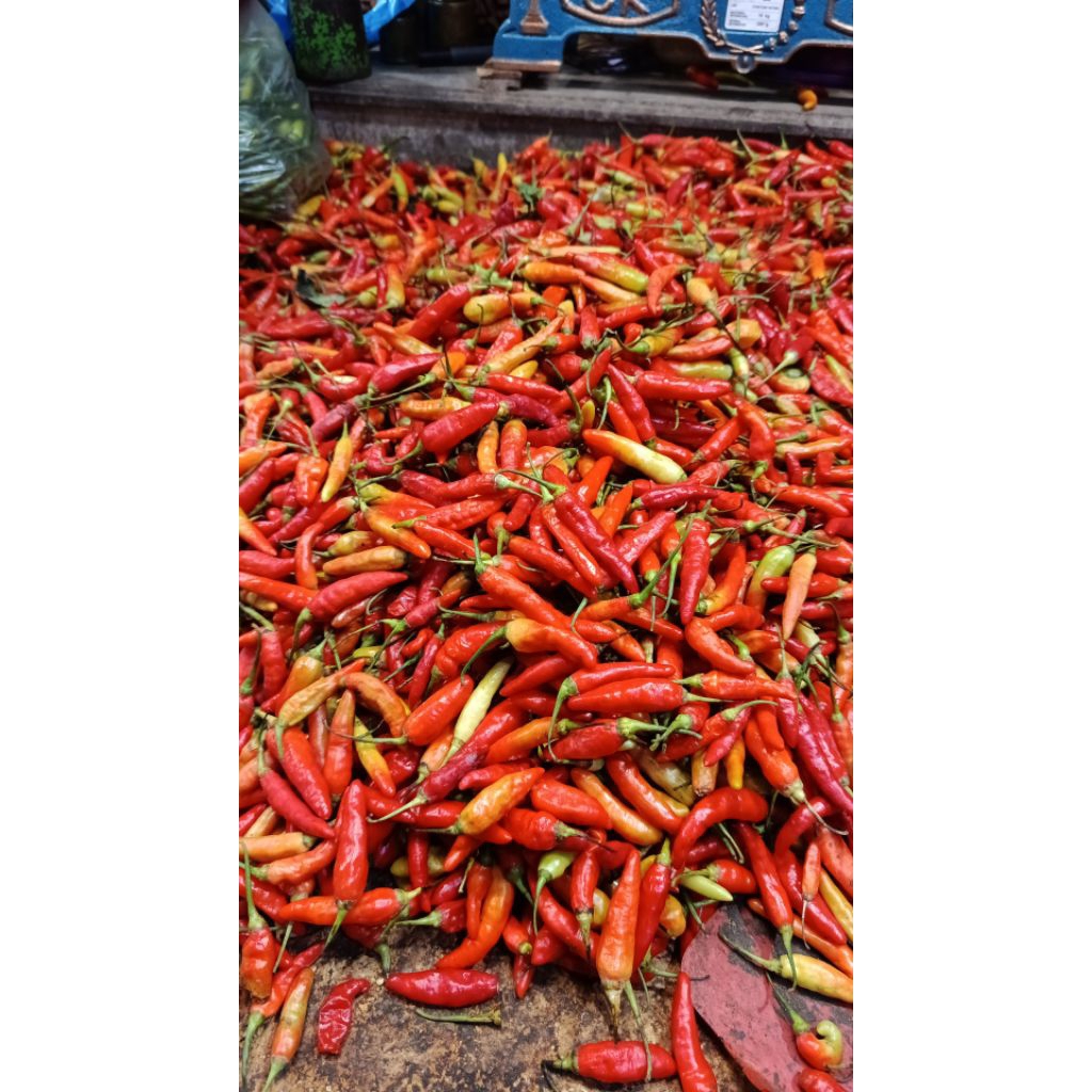 

cabe rawit 1 kg - INSTAN SURABAYA