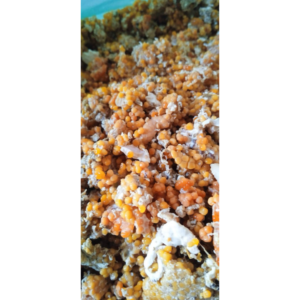 

TELUR IKAN MIMI FRESH INSTANT KURIR