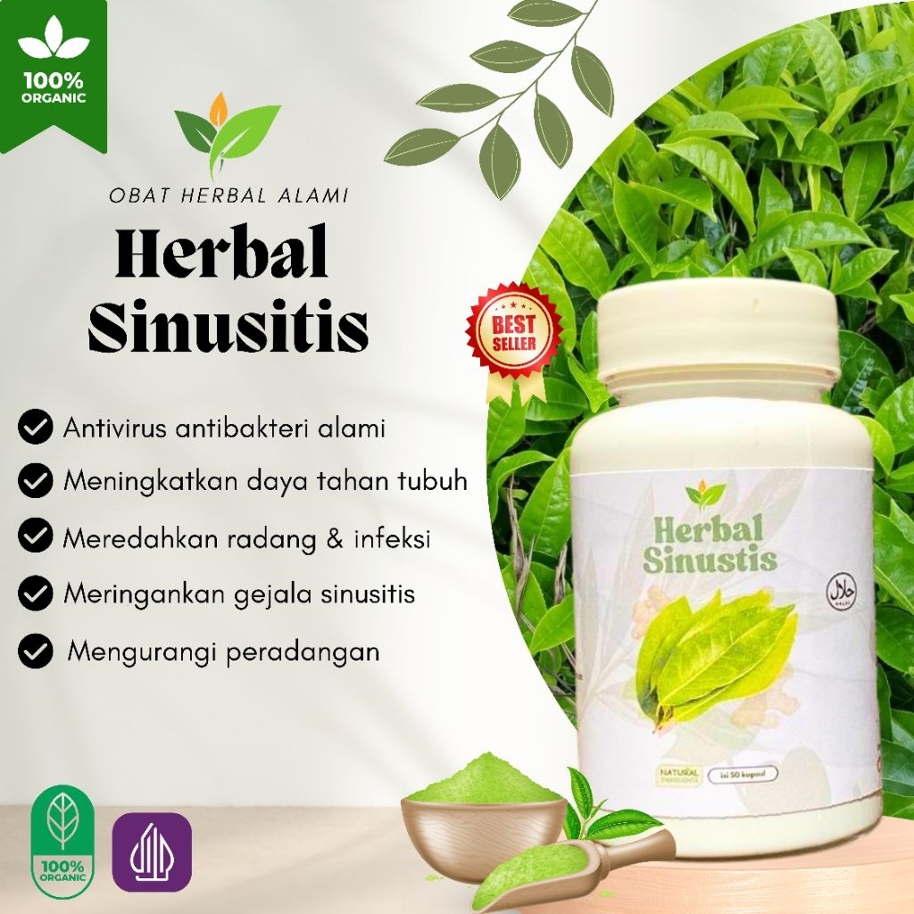 

Obat HERBAL SINUSITIS, PHOLIP,flu/pilek, batuk menahun.Ekstrak Sari Herbal 100% Alami Sembuhkan Sinus Isi 50 Kapsul