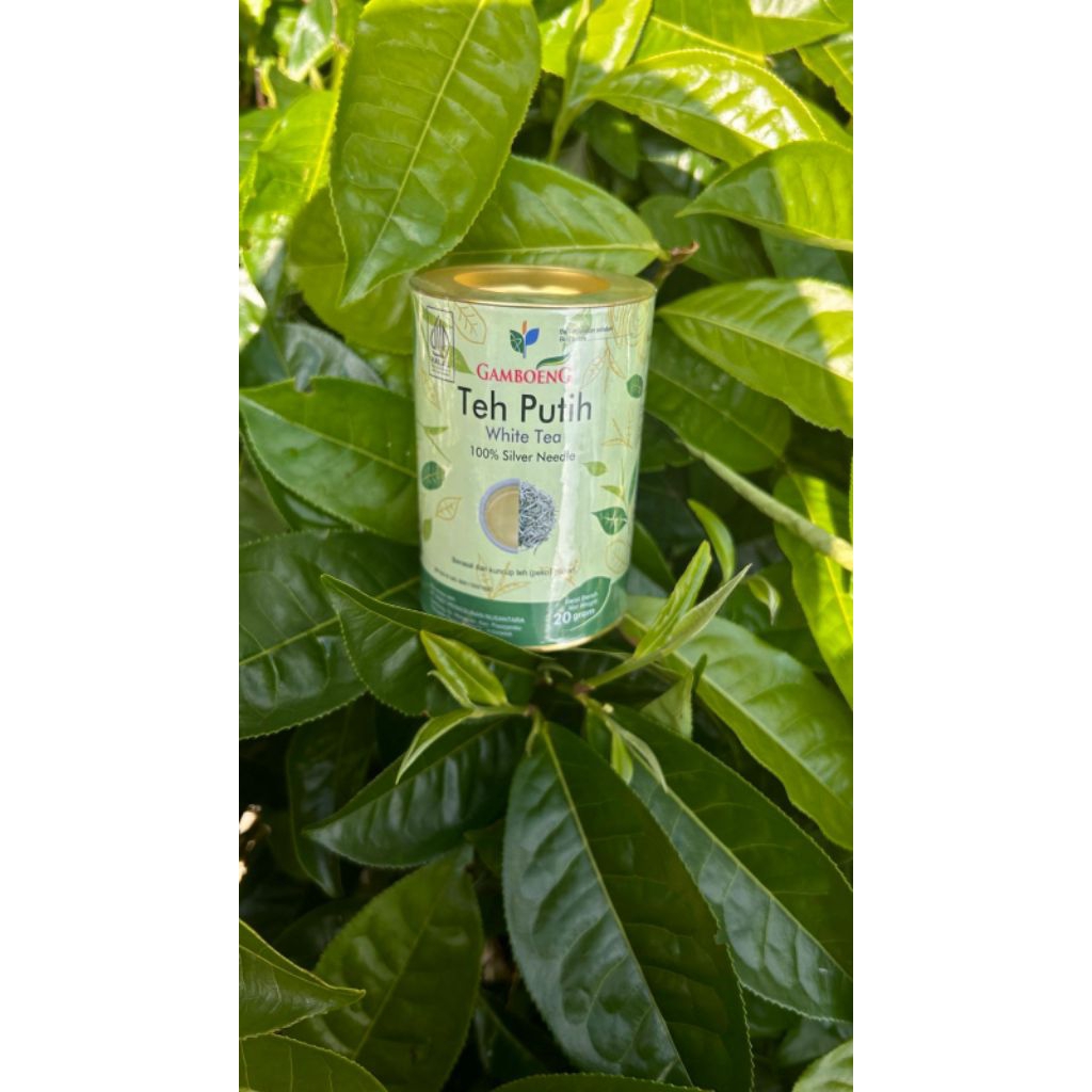 

Gamboeng White Tea Kaleng