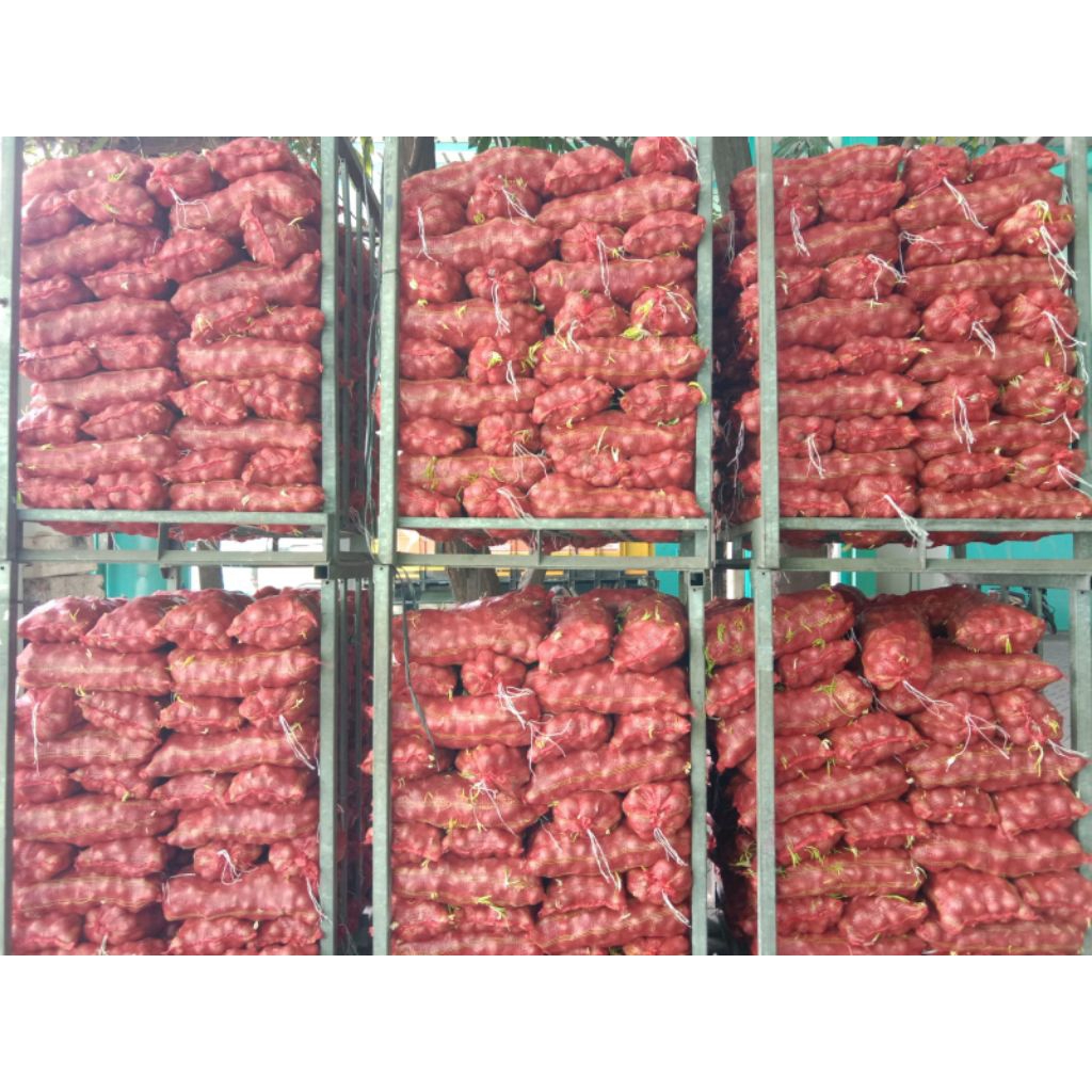 

BOMBAY 5 KG 10 KG BOMBAY SUPER BAWANG BOMBAY