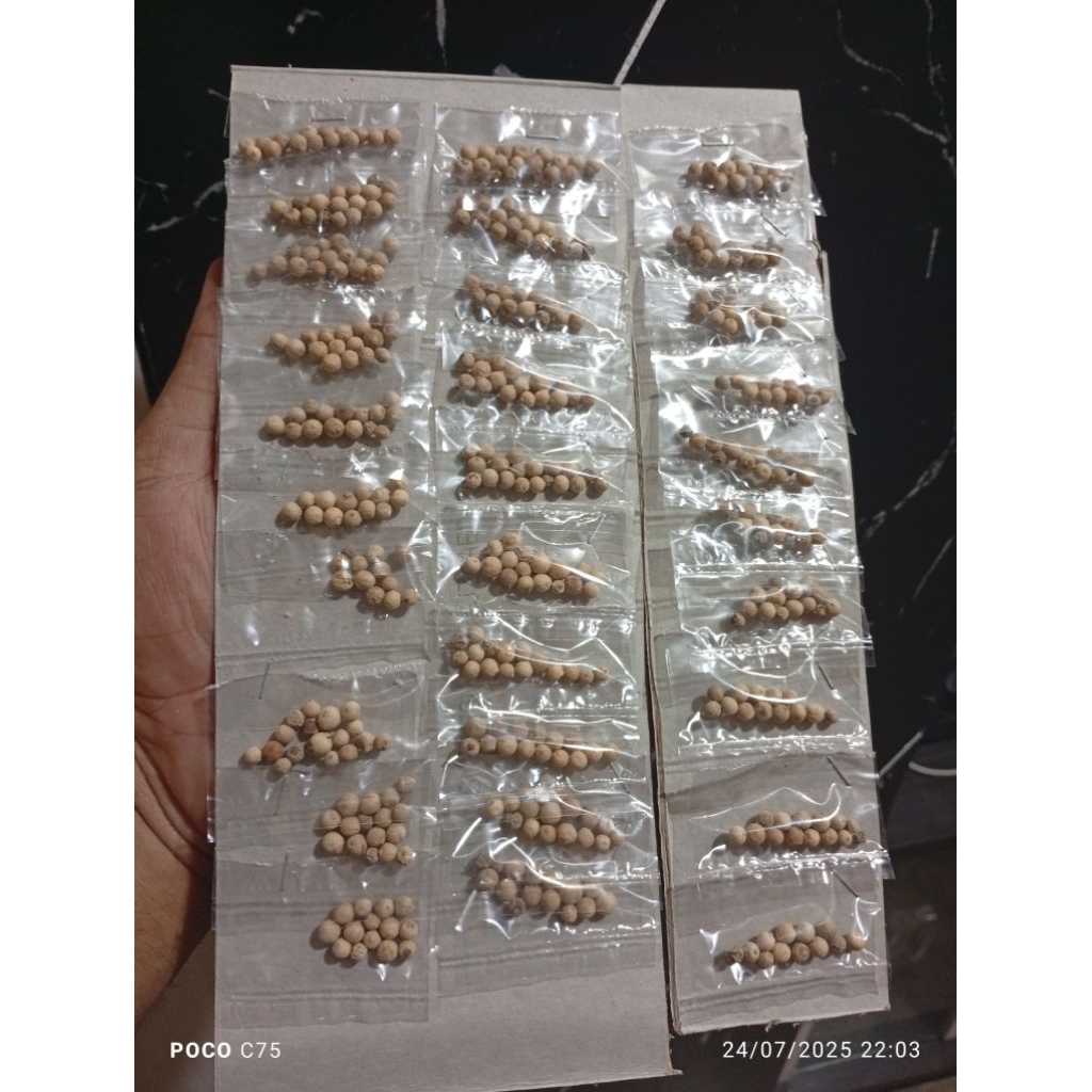 

Bumbu Rempah/ Bumbu dapur (Merica)