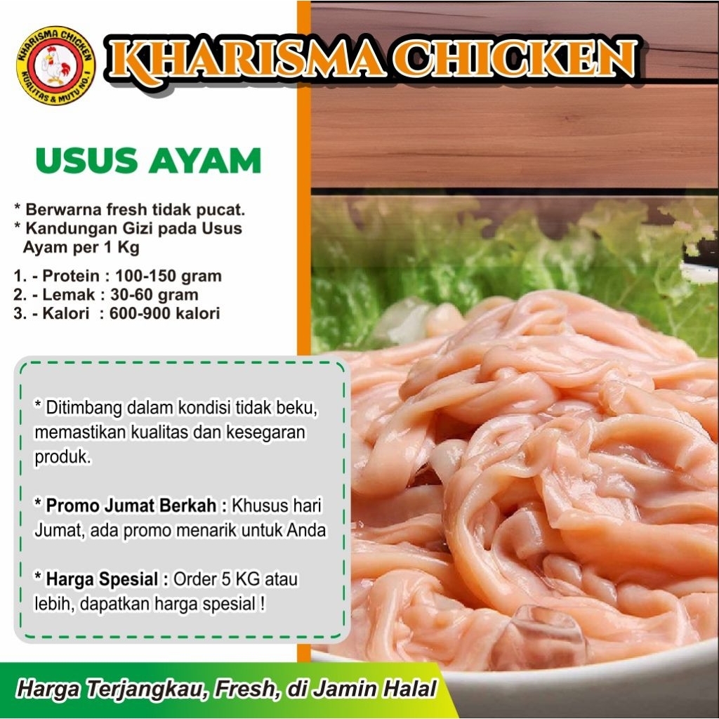 

Usus Ayam Sudah Bersih