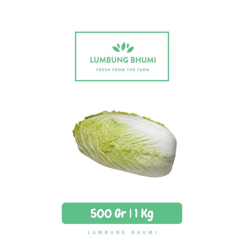 

Sawi Putih Sayur - Lumbung Bhumi