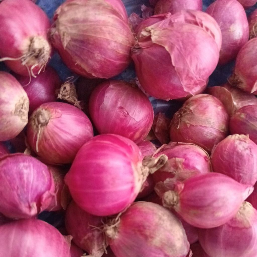 

bawang merah super 150 gram