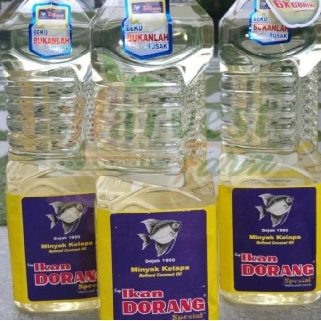 

Minyak Goreng Ikan Dorang Spesial