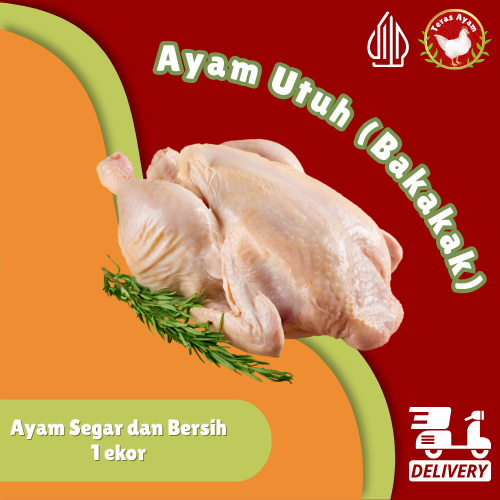 

Teras Ayam - Ayam Potong/ Ayam Utuh Satu Ekor Fresh / Segar