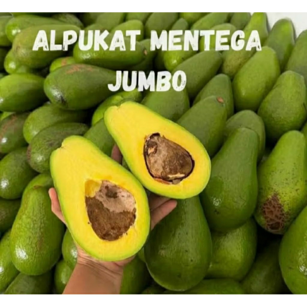 

Alpukat mentega Jumbo isi 2-3biji/kg