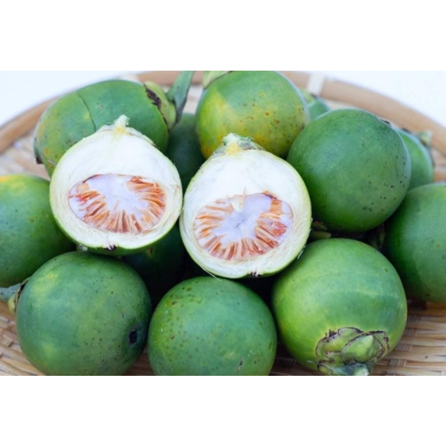 

buah pinang muda 1 KG