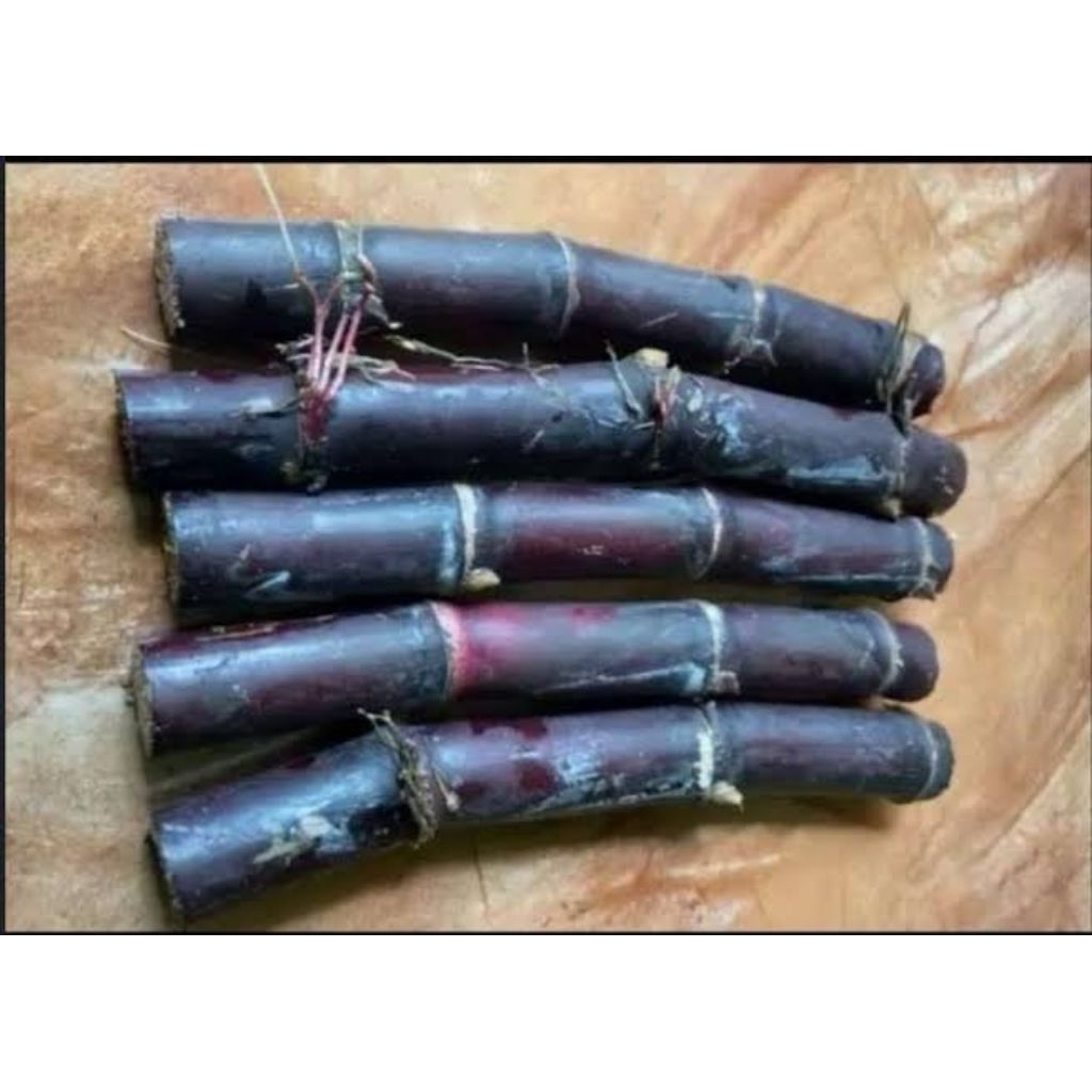 

tebu hitam fresh manis alami . panjang 45 cm co 4 gratis 1