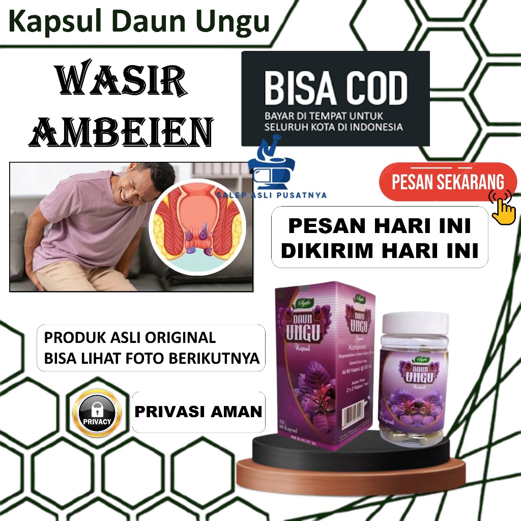 Kapsul Daun Ungu Asli Syifa – Obat Ambeien Terlaris