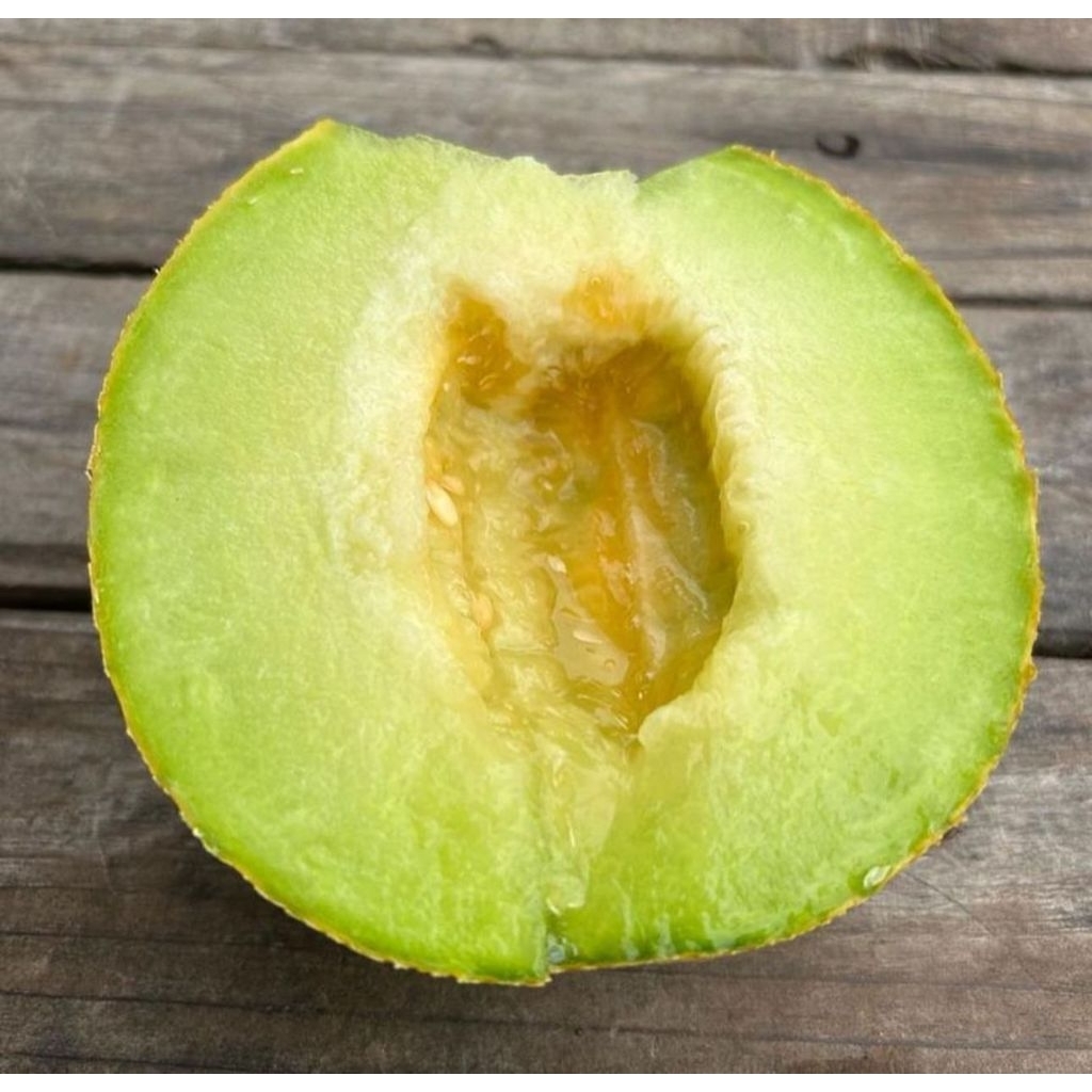 

MELON MADU HIJAU / MELON MADU LOKAL