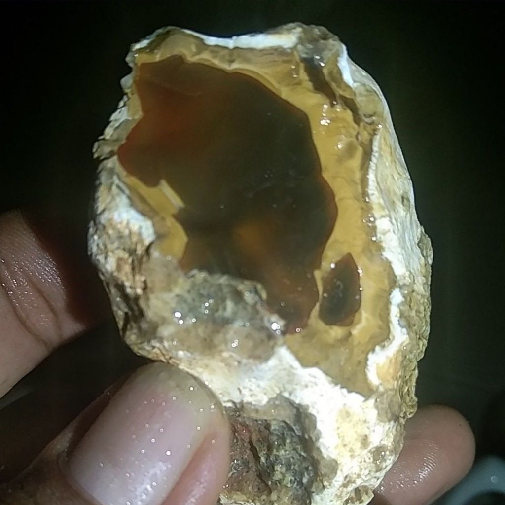 Batu anggur solar bengkulu super giwang