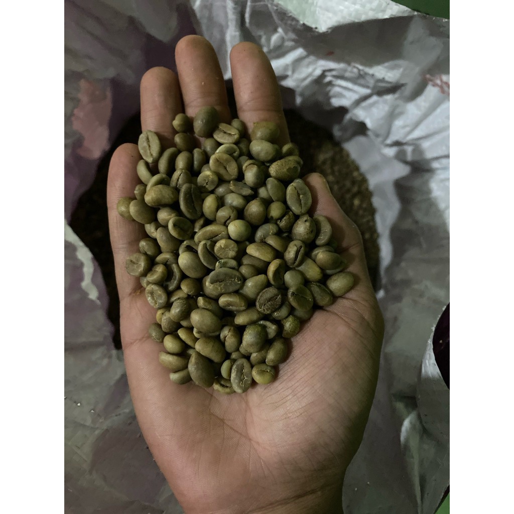 

ready greenbean robusta jawa timur berat 1kg