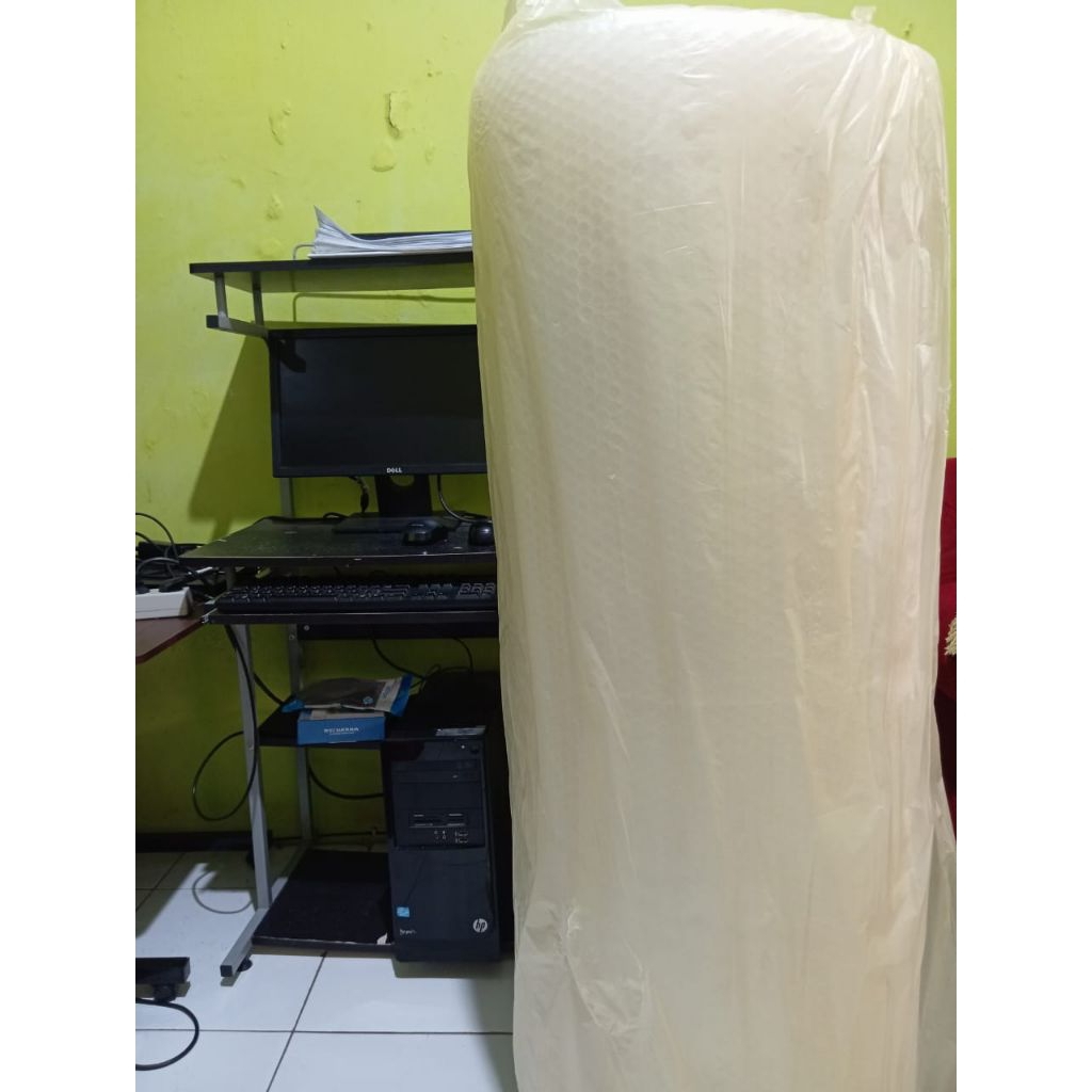 

Plastik Bubble Wrap Clear