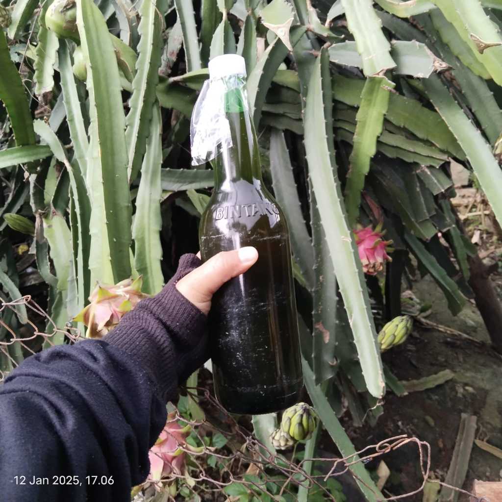 

Madu Azka 650ml - 100% madu asli – tanpa pengawet, tanpa pemanis buatan