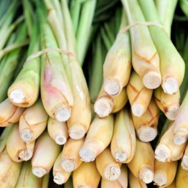 

3Tangkai serai segar/sereh wangi freesh