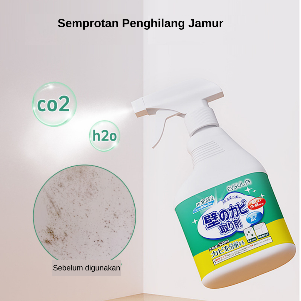 Spray Penghilang Jamur Dinding - Alat Pembersih Jamur Dinding