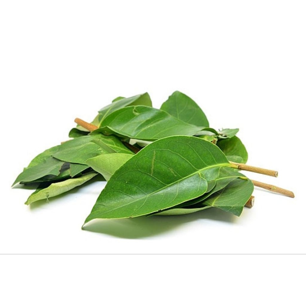 

Daun salam Fress 150 lembar