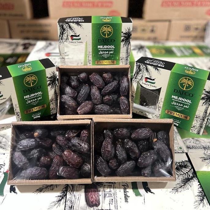 

kurma Medjol palestine Datco Super premium price kemasan 500gr