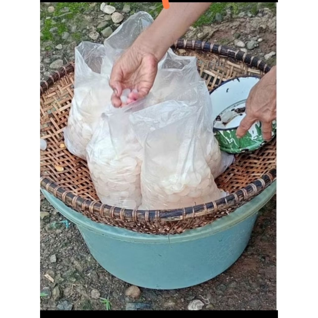 

KOLANG KALING BUAH AREN