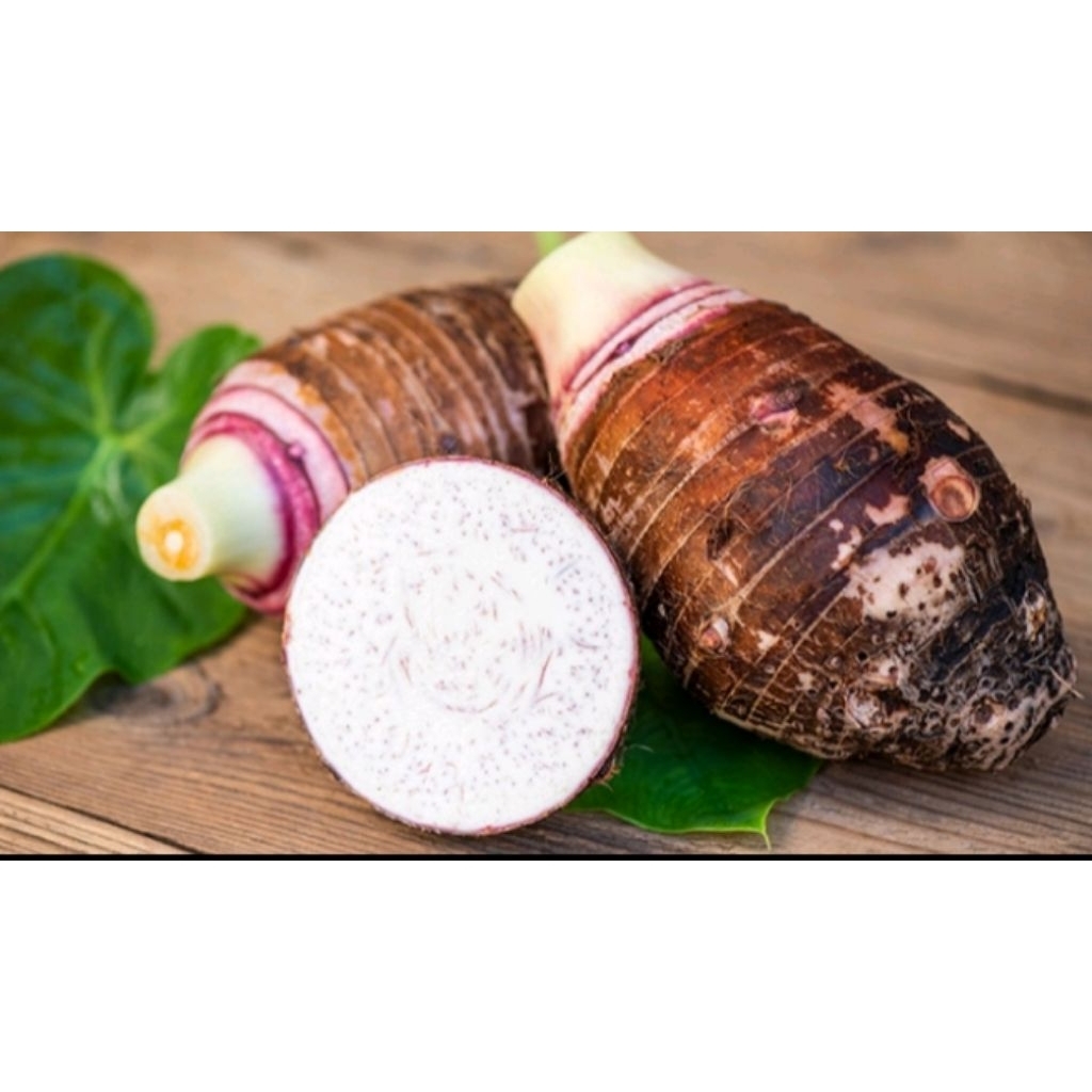 

termurah umbi talas bogor/1kg