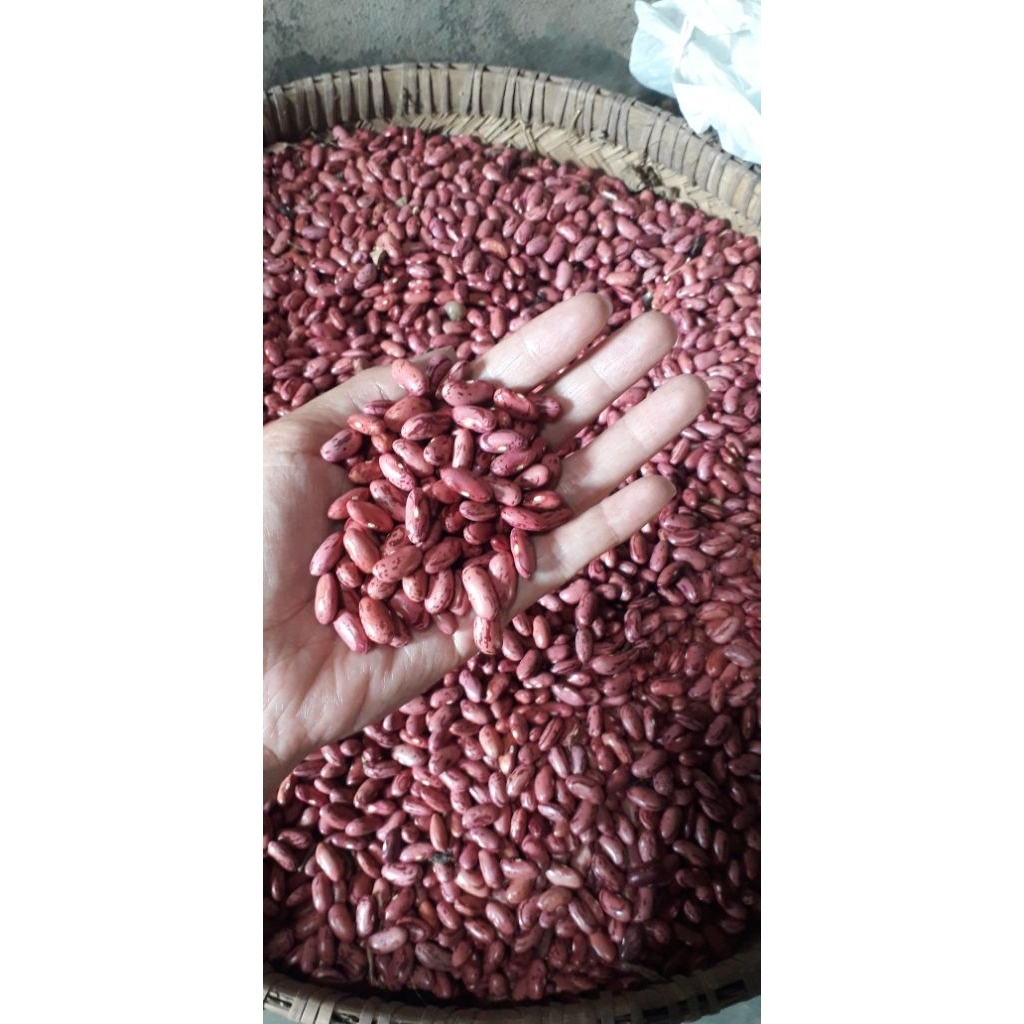 

KACANG MERAH / KACANG SENEREK / KACANG MERAH KERING 500gr & 1kg